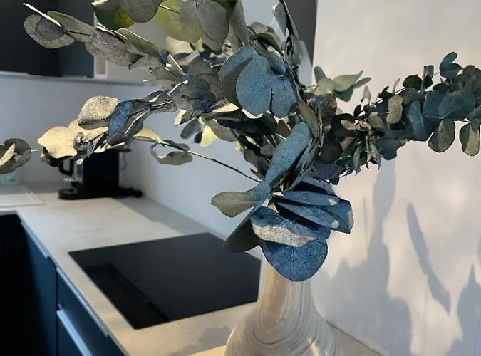 - Ocean & Sea Breeze *