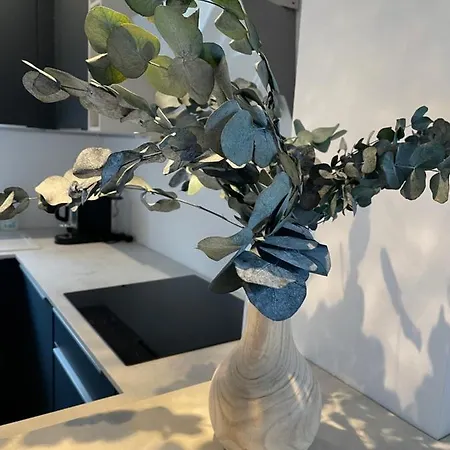 - Ocean & Sea Breeze *